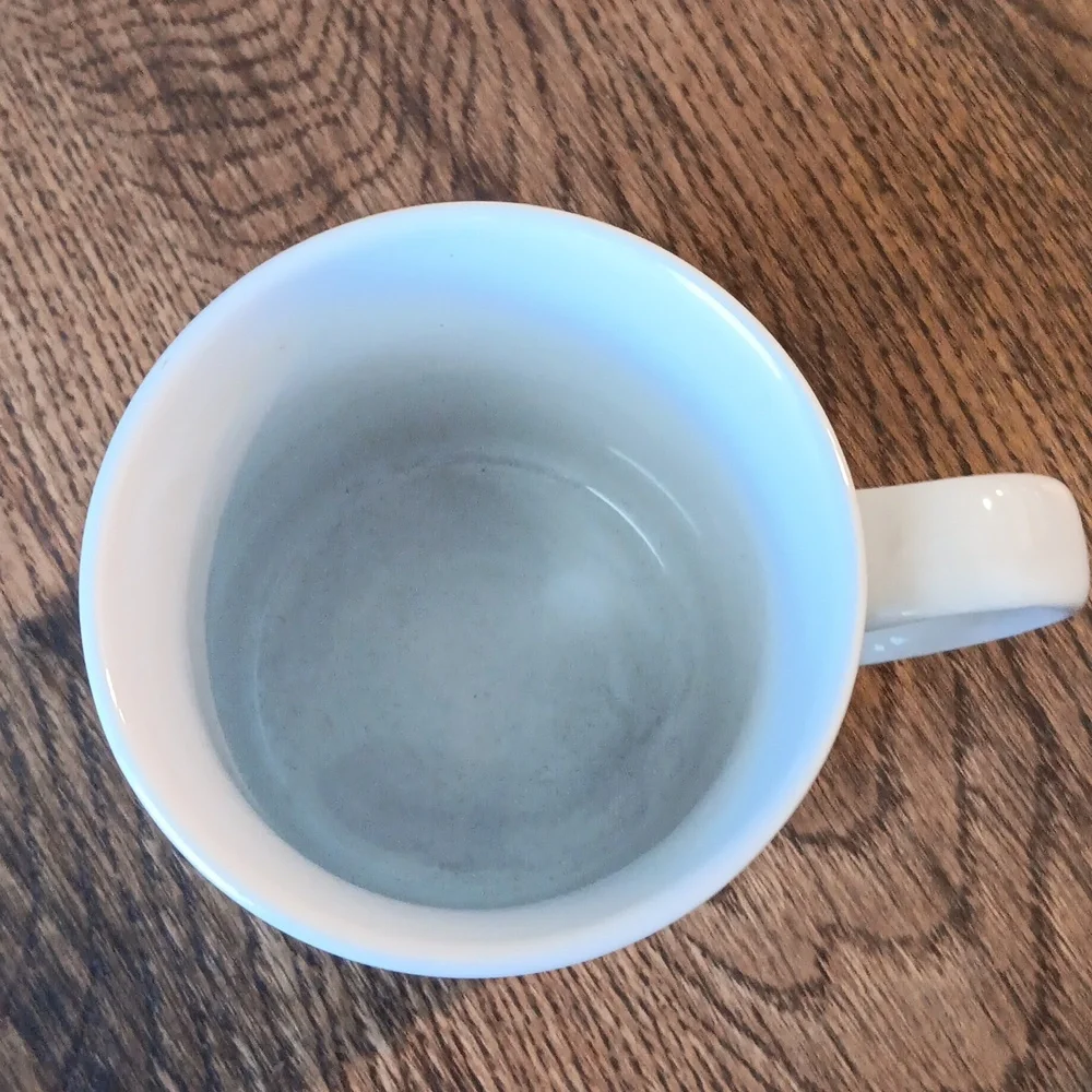COPY - Pier 1 Imports Chinoiserie Mug